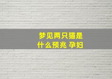 梦见两只猫是什么预兆 孕妇